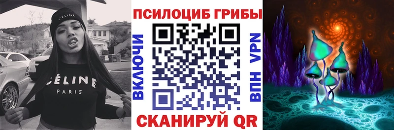 Купить где Игарка Псилоцибиновые грибы мухоморы